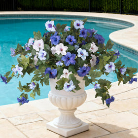 Ammyoo petunia blue-white bloom outdoors, UV-resistant color enhances curb appeal.