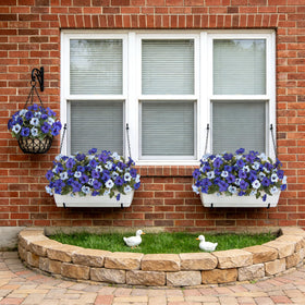 Ammyoo petunia bundles with flexible stems for easy shaping
