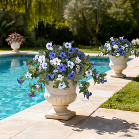 Ammyoo petunia maintenance-free decor never needs watering.