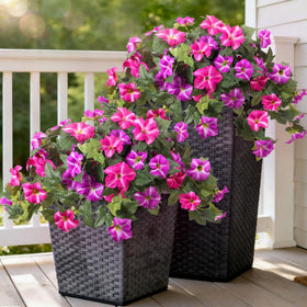 Ammyoo petunia outdoor branches in fuchsia lotus add lasting curb appeal