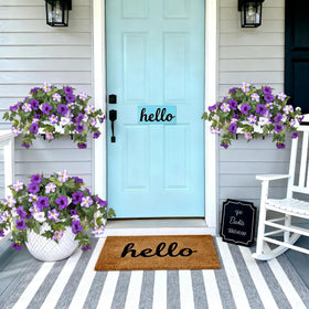Ammyoo outdoor petunia bundle, UV-resistant and fade-free for outdoor spaces.