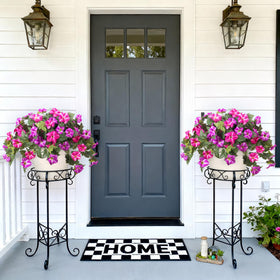 Ammyoo petunia patio front door display brightens spaces