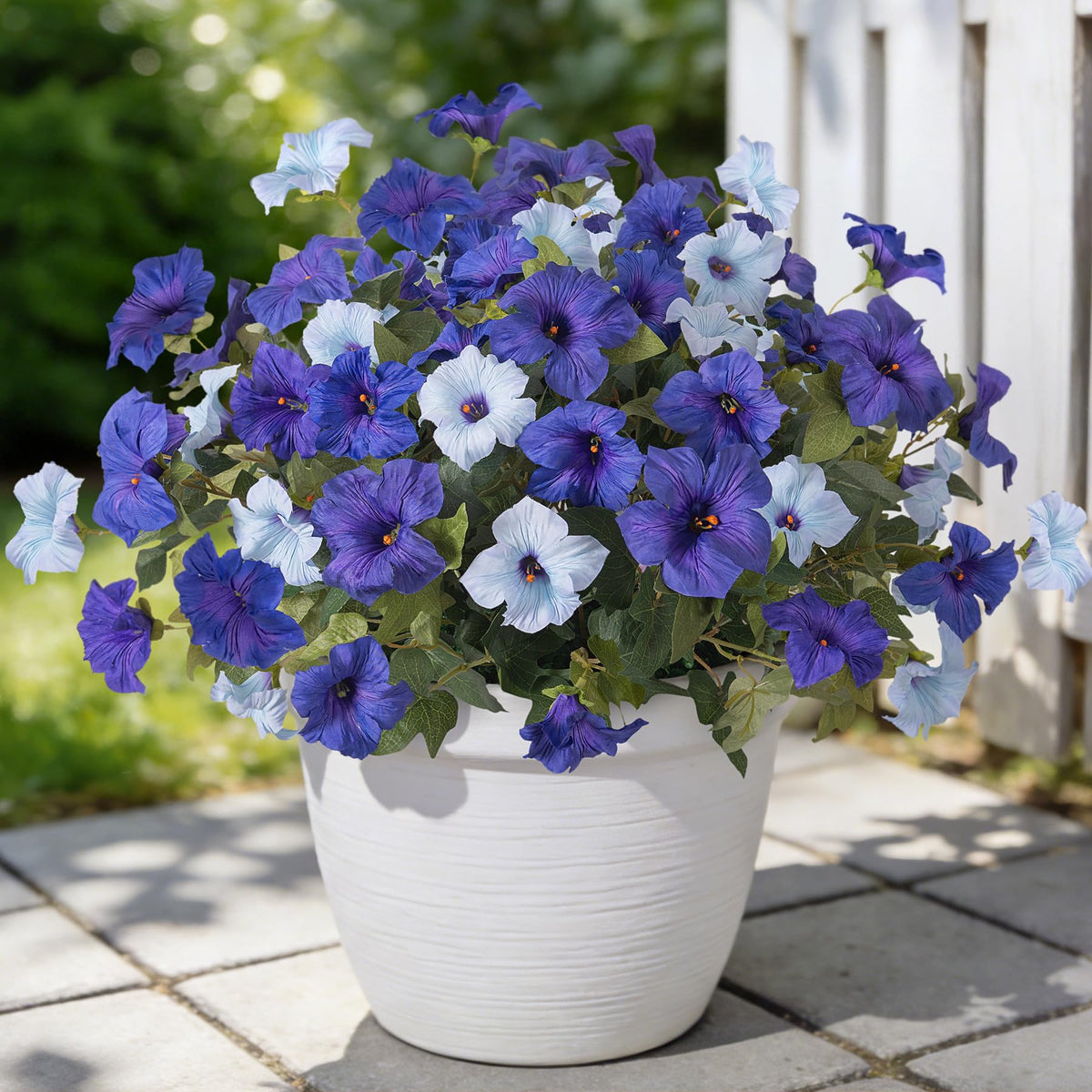 Ammyoo blue outdoor petunias cluster for vibrant, maintenance-free garden displays