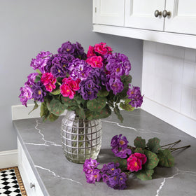 Ammyoo UV-resistant geraniums withstand sun for year-round display