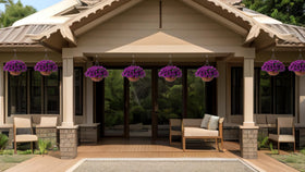 Ammyoo vivid greenery and petals with long-lasting color.