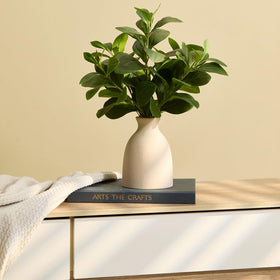 Amore Florals pre-arranged eucalyptus stems for instant interior warmth.