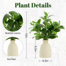Amore Florals eucalyptus stems on a shelf for a welcoming interior accent.