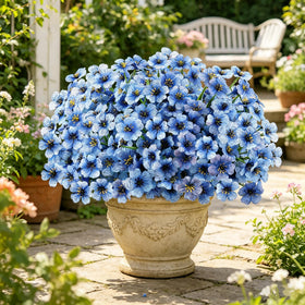 AmyHomie bendable stems help create wind-blown outdoor arrangements.