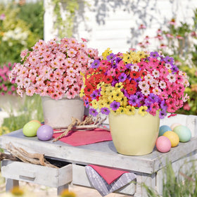 AmyHomie Forsythia branch pink outdoor decor with adjustable stems