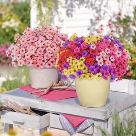 AmyHomie multi-scene decor for indoor and outdoor spaces.