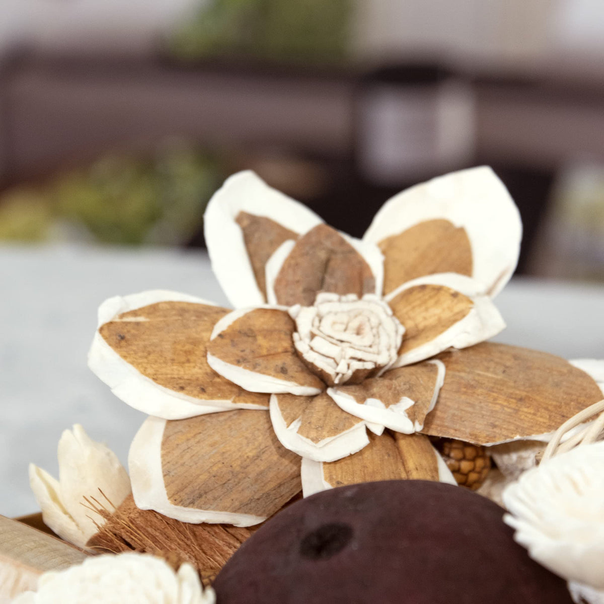 ANDALUCA home decor potpourri stays vibrant with minimal upkeep.