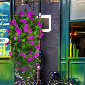 Ankey bendable stems morning glory flowers enable flexible display options.