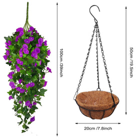 Ankey coconut-lining hanging basket presents a ready-to-hang arrangement.