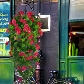 Ankey hanging basket with coconut liner enhances porch appeal.