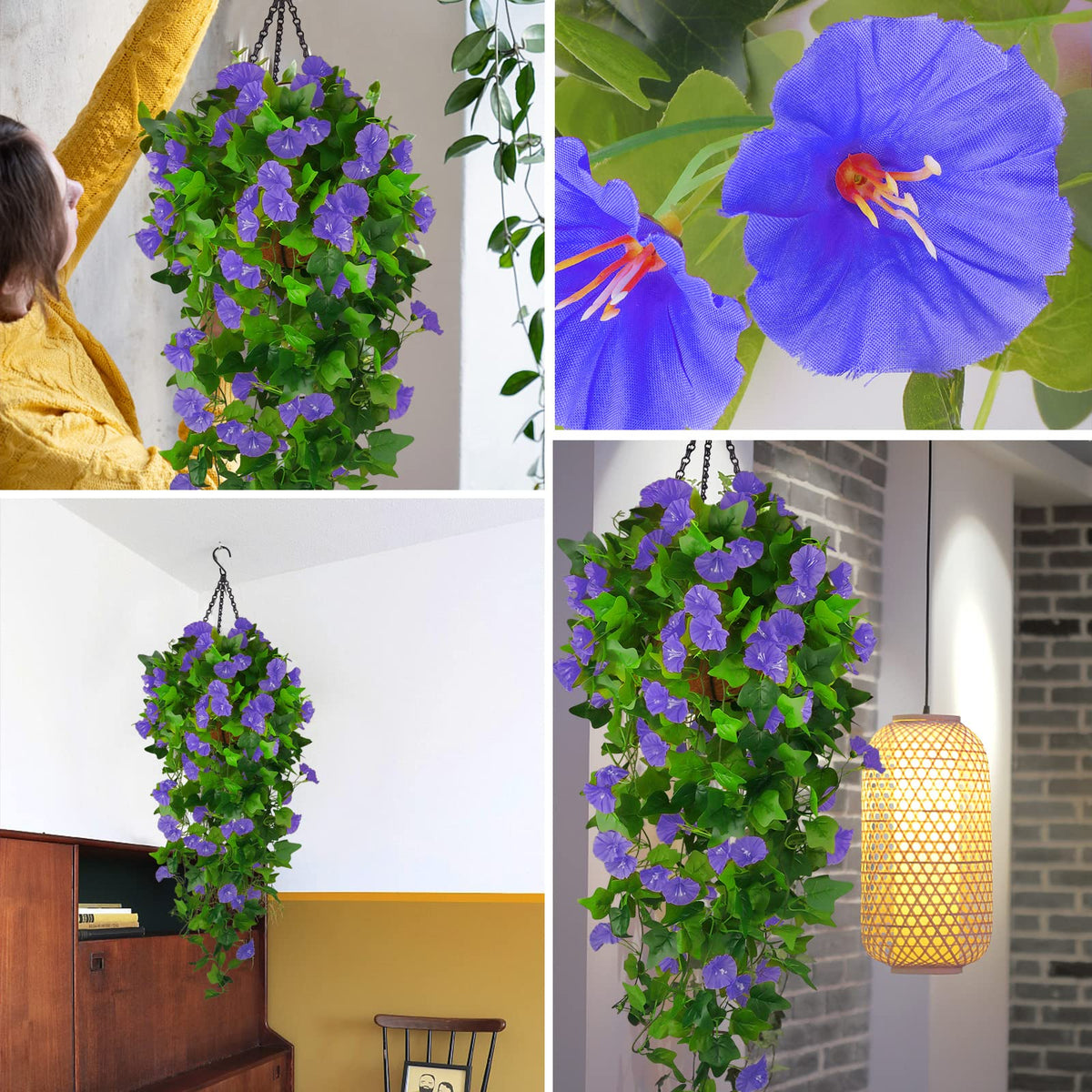 Ankey morning glory 30 heads on 9 stems offer versatile display.