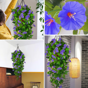 Ankey morning glory 30 heads on 9 stems offer versatile display.