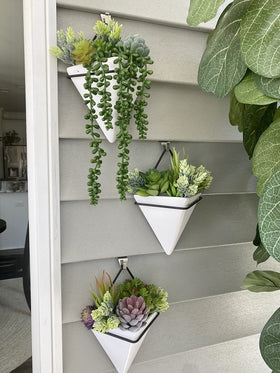 Anoak desk decor with maintenance-free succulents for workspace ambiance.