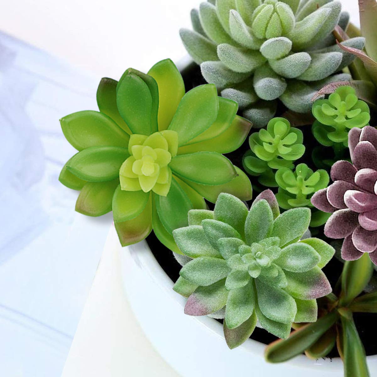 Anoak 16pcs set showcased in planter displays for instant greenery.