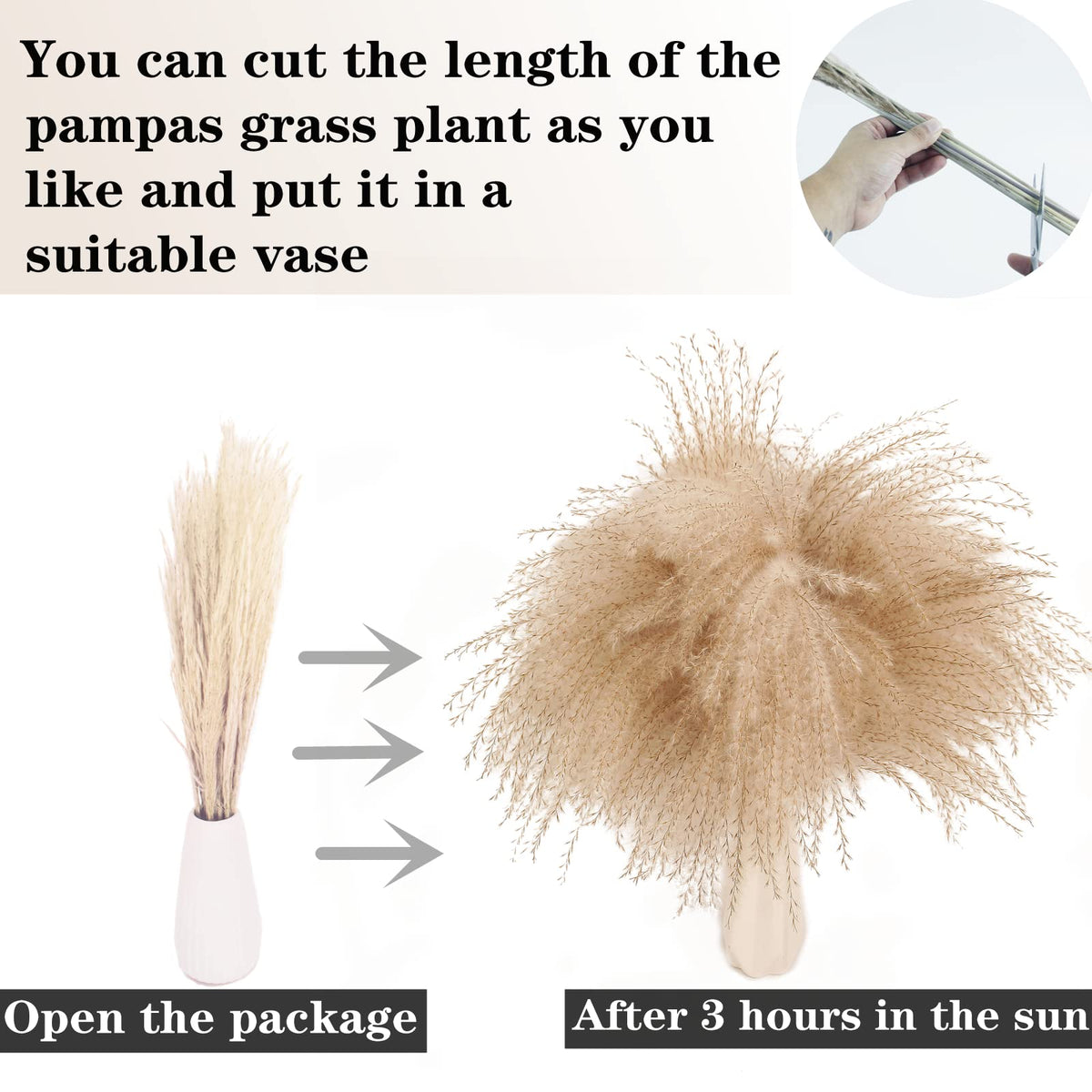 ANPROOR dried flower bouquet as vase filler for natural texture.