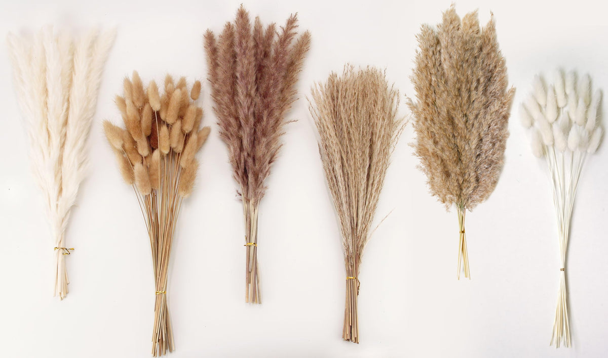 ANPROOR natural rabbit tail grass texture for rustic decor