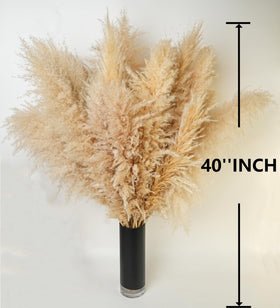 ANPROOR pampas grass boho floor vase display enhances texture and volume.