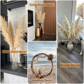 ANPROOR pampas grass care tips for minimal shedding and easy upkeep.