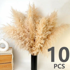 ANPROOR natural dried pampas stems offer long-lasting beauty.