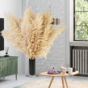 ANPROOR pampas grass texture for rustic-modern arrangements.