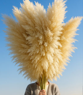 ANPROOR pampas grass wedding decor with 10 stems adds elegance.