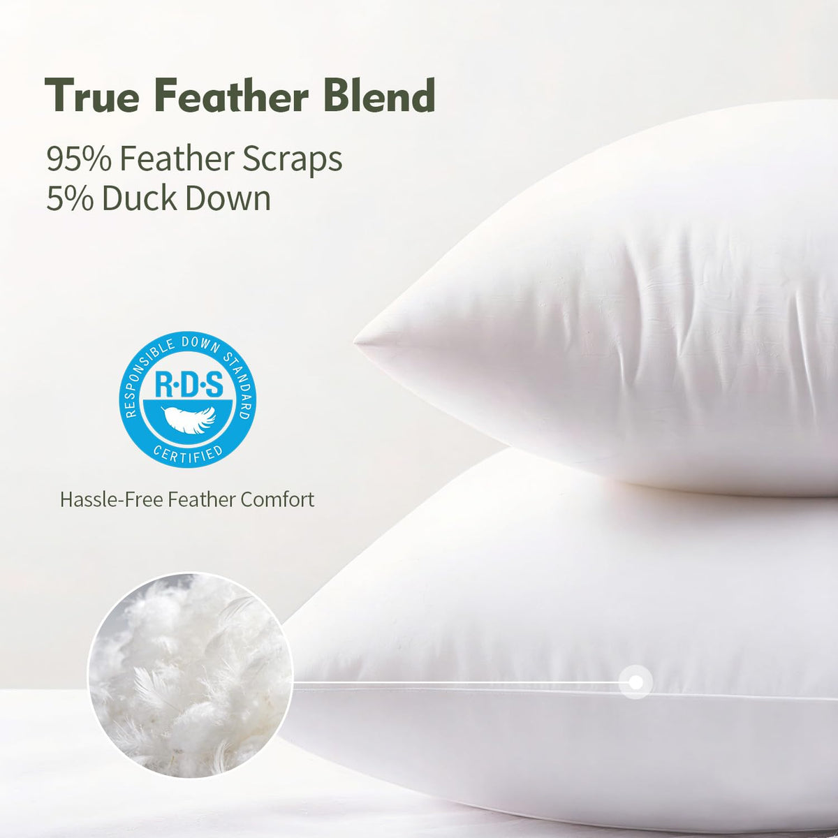 ANT-HOME vacuum-sealed packaging demonstrates easy transport and storage