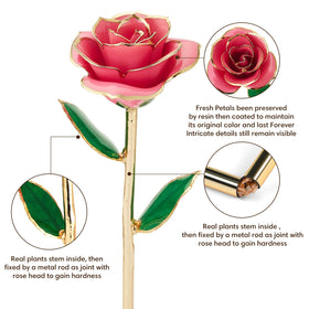 Anthonic 24K gold rose gift box, ready for gifting on special occasions.