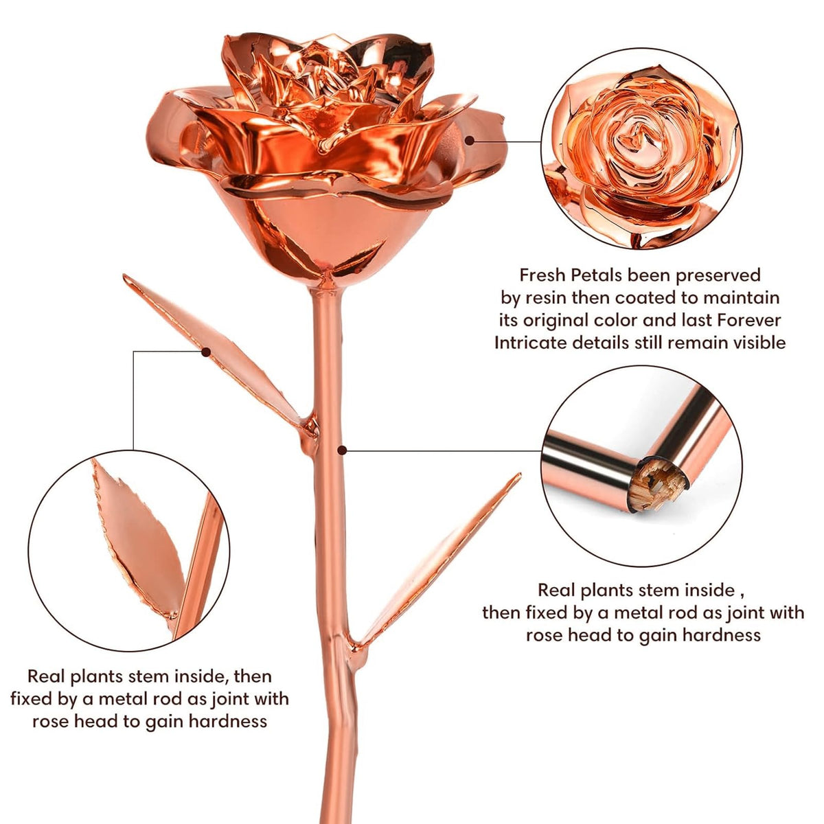 Anthonic resin-preserved rose in gift box, ready to gift.