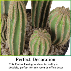 AntHousePlant artificial cactus with cobblestone detail adding texture.