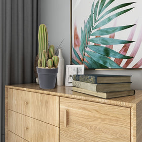 AntHousePlant cactus decor for hotels and events adds visual appeal.