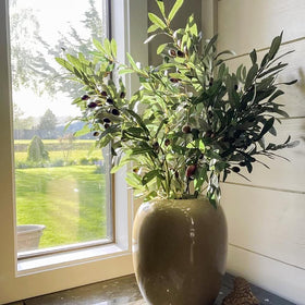 Antspirit olive branch stems in a six-pack provide versatile indoor styling.