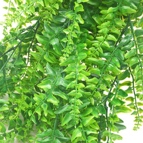 Antspirit outdoor wall fern decor adds greenery without watering.