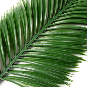 Antspirit palm leaves in vivid green enhance centerpieces with tropical flair.