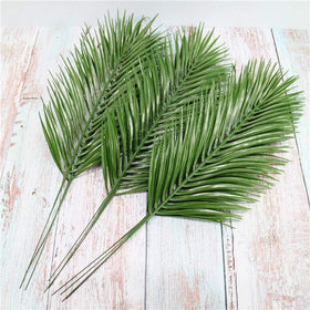 Antspirit palm fronds ideal for wedding decor and tropical themes.