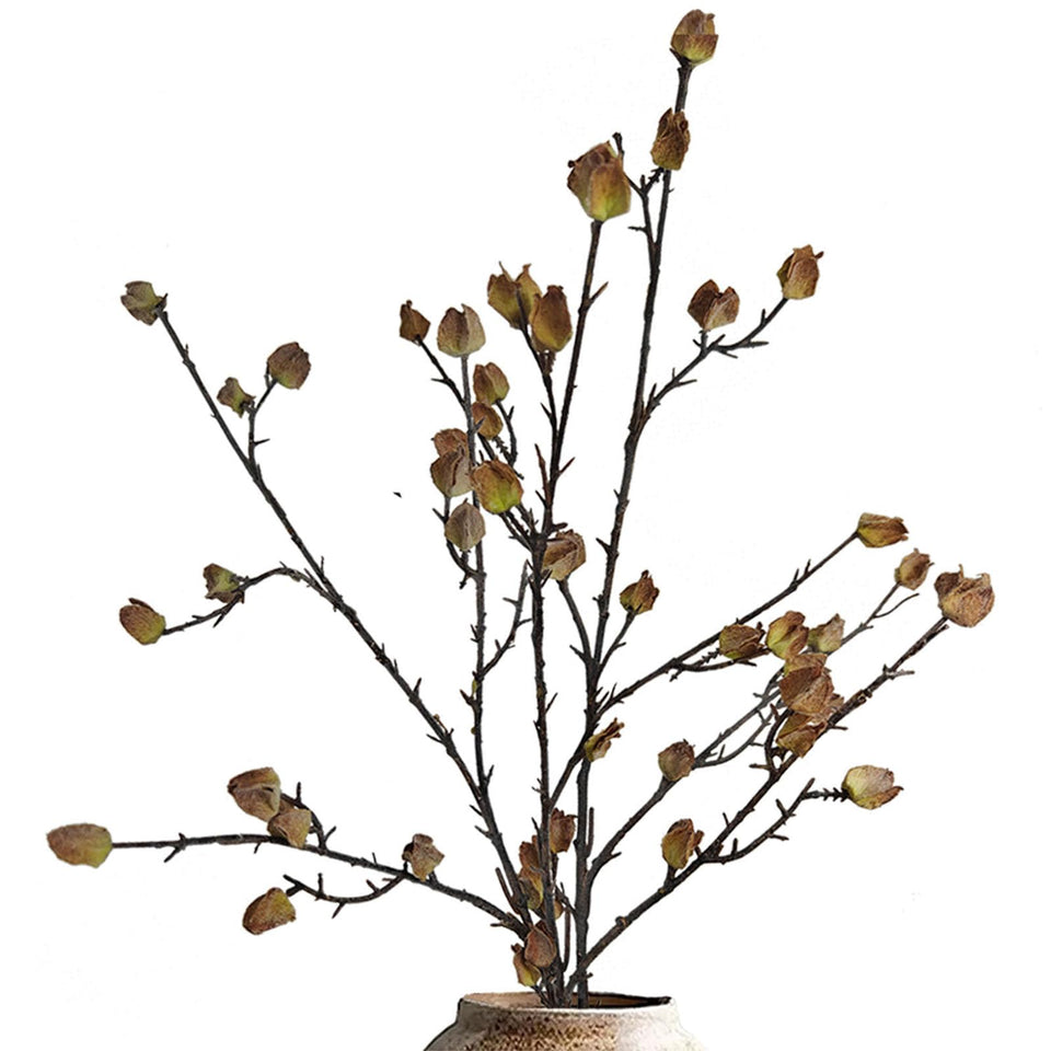 Anyumir cape gooseberry stems with lantern pods for year-round farmhouse decor.