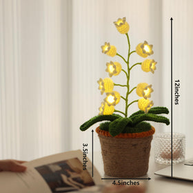 ANZRLE Gift-ready decorative lamp for birthdays and special occasions.