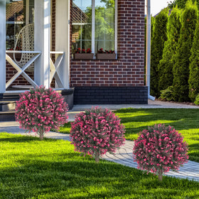 AOKIIE topiary arrives ready to fluff and shape.
