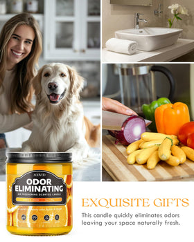 AOOVOO packaging and 2-pack design ideal for gifting or home refresh.