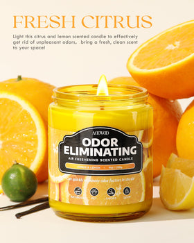 AOOVOO Citrus & Lemon diffuses a refreshing, uplifting fragrance throughout a room.