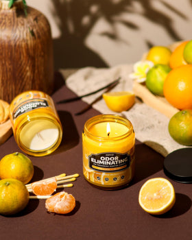 AOOVOO candle creates a cozy ambiance while neutralizing common odors.