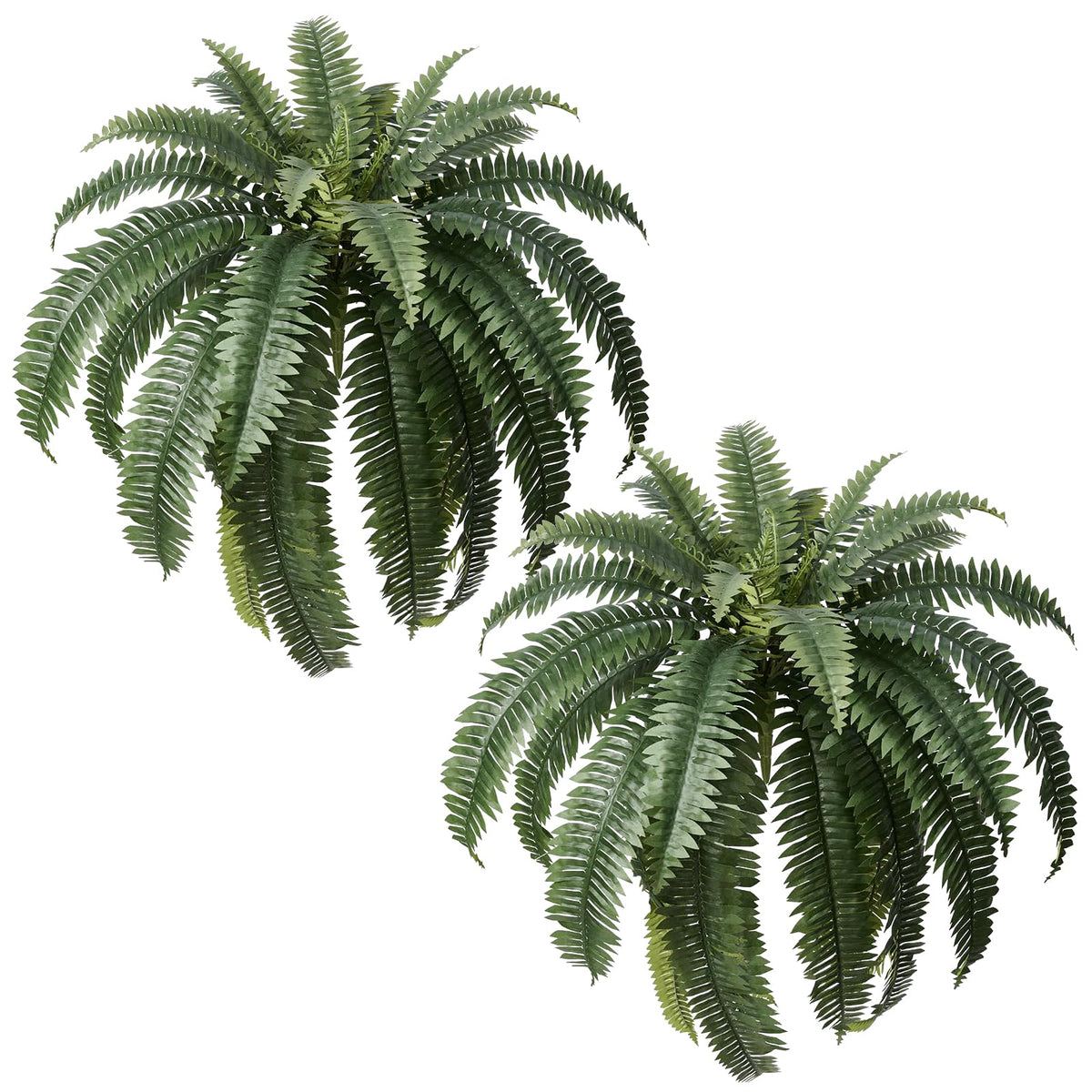 Apeair Boston fern 48-inch large display outdoors boosts curb appeal.