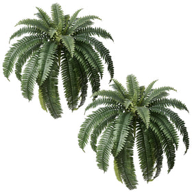 Apeair Boston fern 48-inch large display outdoors boosts curb appeal.