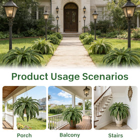 Apeair Boston fern realistic gradient leaves brighten year-round greenery.