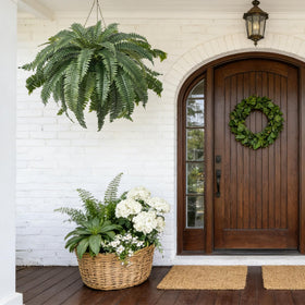 Apeair Boston fern zero maintenance design saves time on upkeep.