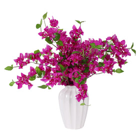 Apeair bougainvillea 30-inch purple stem adds vibrant color to any living space.