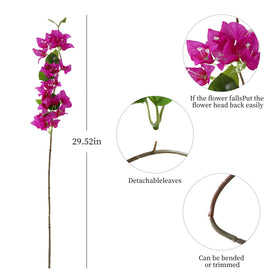 Apeair bougainvillea closeup purple flowers highlights realistic petals for elegant table decor.